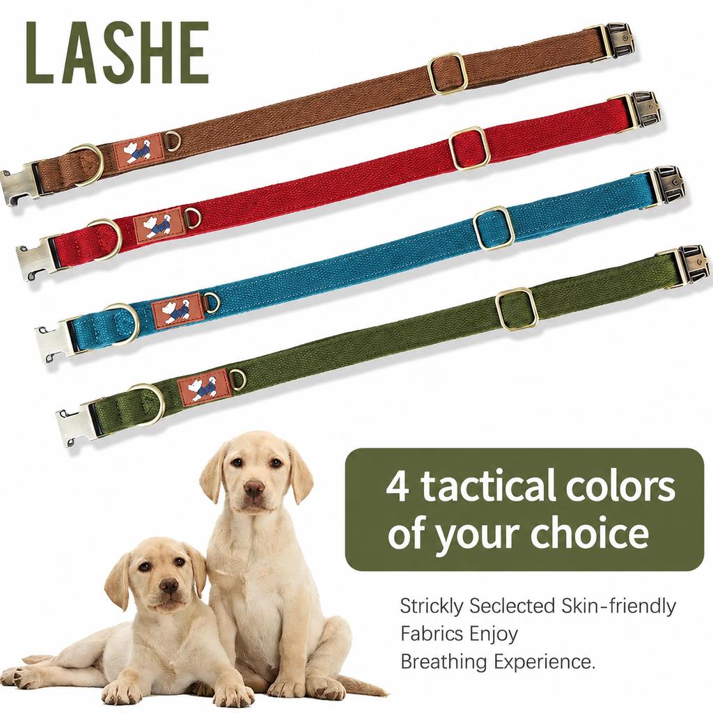 Adjustable Dog Collar with Cotton Lining